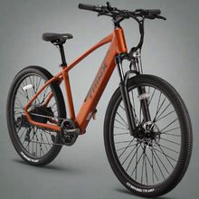 Load image into Gallery viewer, Trinkx Electric Bike 350W 36V 10Ah - E-Scooter UAE Hub
