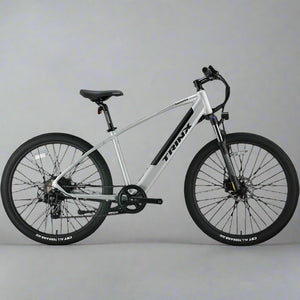Trinkx Electric Bike 350W 36V 10Ah - E-Scooter UAE Hub