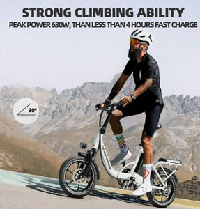 WIND HORSE W2B Electric Bike