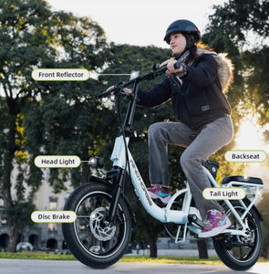 WIND HORSE W2B Electric Bike