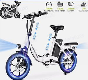 WIND HORSE W2B Electric Bike