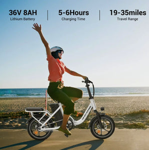 WIND HORSE W2B Electric Bike