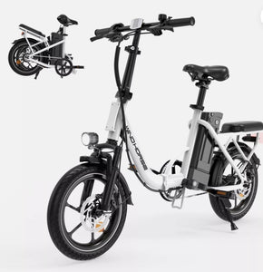 WIND HORSE W2B Electric Bike