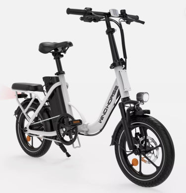 WIND HORSE W2B Electric Bike - E-Scooter UAE Hub