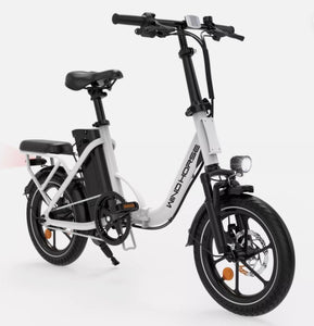 WIND HORSE W2B Electric Bike
