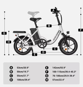 WIND HORSE W2B Electric Bike