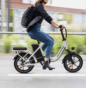 WIND HORSE W2B Electric Bike