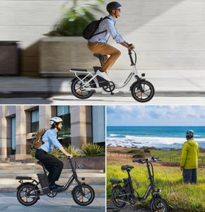 WIND HORSE W2B Electric Bike