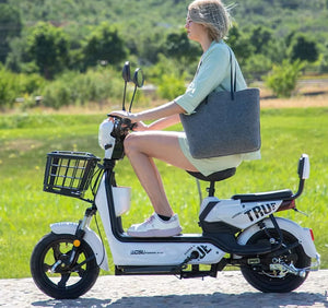 Electric Family Scooter 48V 12Ah New 2025 Fashionable - E-Scooter UAE Hub