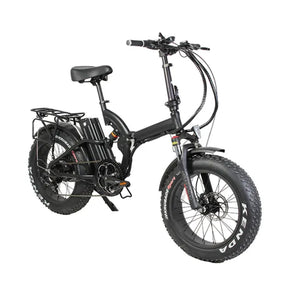 Aimos Electric Folding Bike 48V 750W 13Ah 20inch Fat Tire Adult E-bike AMS-TDN-03Z