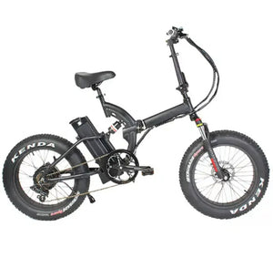 Aimos Electric Folding Bike 48V 750W 13Ah 20inch Fat Tire Adult E-bike AMS-TDN-03Z