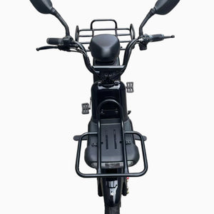 Cargo city Electric Bike for Quick and Easy Food Delivery 48V 20Ah 700W speed 50Kmh Range 60km