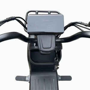 Cargo city Electric Bike for Quick and Easy Food Delivery 48V 20Ah 700W speed 50Kmh Range 60km