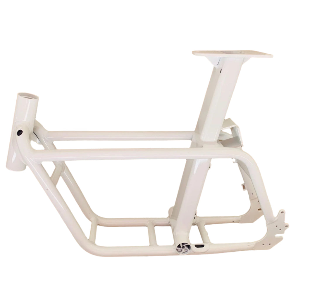 FIIDO Q1S E Bike Frame Custom Project DIY