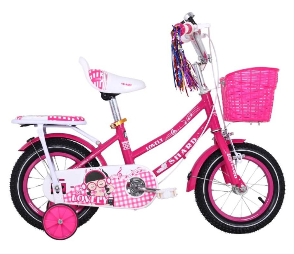 Cute Kid Girls Bicycle With Training Wheels Age 2-10 – E-Scooter - Main Image