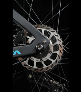 JAVA Riva Hybrid Carbon Pedelec E-bike