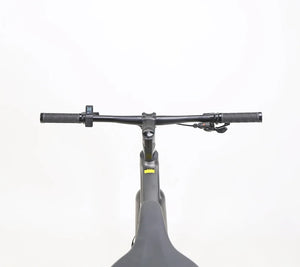 JAVA Frenetica Hybrid E-bike M080