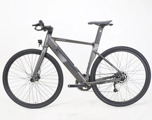 JAVA Frenetica Hybrid E-bike M080