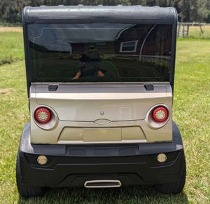 Electric Ac Golf Cart Buggy -2,4 seater