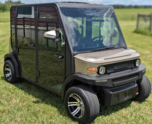 Electric Ac Golf Cart Buggy -2,4 seater