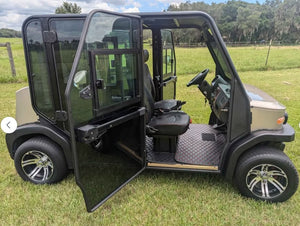 Electric Ac Golf Cart Buggy -2,4 seater