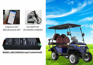 XMV Lifted Golf Cart Series 2+2 Seater