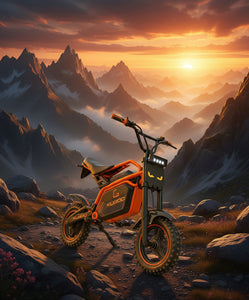 Kugoo Wish Runner Electric Bike 48V 500W Single Motor Version - 2025