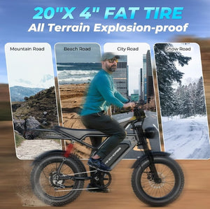 WINDHORSE V8 PRO 2025 NEW HARLEY ELECTRIC BIKE 48V 15AH 750W