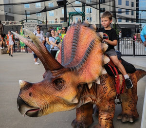 Rechargeable Kids Ride-on Dragon For Amusement Park  Kids Play area