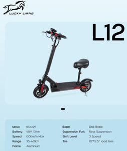 L12 Electric Scooter 48V 13Ah 600W