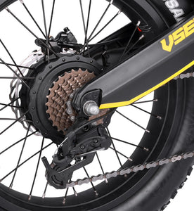 VSETT Eagle Fat Tire Electric Bike 48V 20Ah 750W
