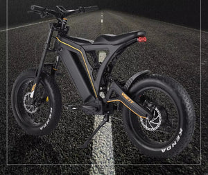 VSETT Eagle Fat Tire Electric Bike 48V 20Ah 750W