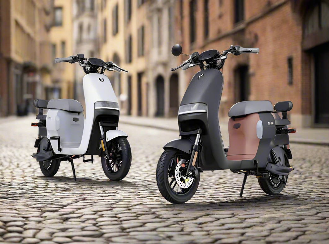 Ninebot A80+ Electric Bike 80km Range 2024 Model - E-Scooter UAE Hub