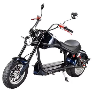 Feiwo Fat tire Harley Electric Bike 3000W 12Ah