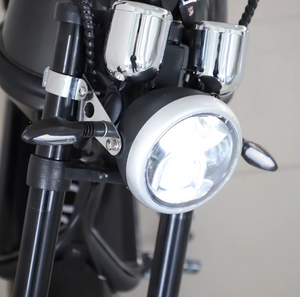 Feiwo Fat tire Harley Electric Bike 3000W 12Ah
