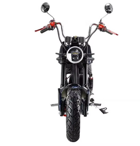 Feiwo Fat tire Harley Electric Bike 3000W 12Ah
