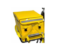 Load image into Gallery viewer, Cargo city Electric Bike for Quick and Easy Food Delivery 48V 20Ah 700W speed 50Kmh Range 60km

