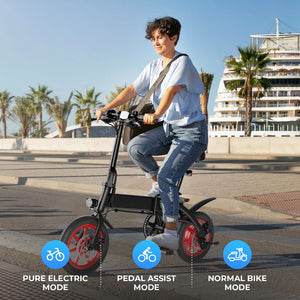 Wind horse C19 Folding E bike