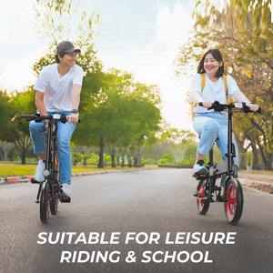 Wind horse C19 Folding E bike