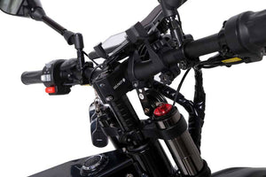 Delfast TOP 3.0 Electric Bike | Offroad Trip City ebike