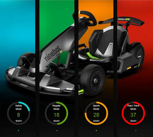 Segway Ninebot GoKart 2024 Version PRO 2 Max Speed 43 Km/H Racing and Immersive Gaming Combo - E-Scooter UAE Hub