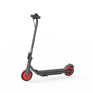Ninebot Segway Zing C20 Electric Scooter - E-Scooter UAE Hub
