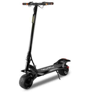 Wide Wheel E-Scooter