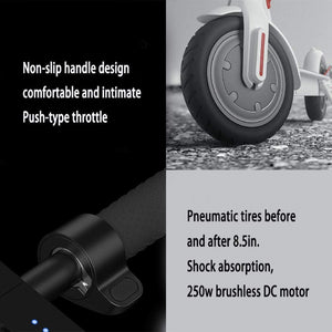 Electric Scooter 350w Easy Folding & Carry Design - E-Scooter UAE Hub