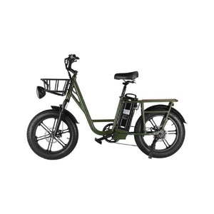 FIIDO T1 Electric Bike
