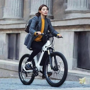 HIMO C26 Electric Bicycle