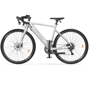 HIMO C30S Electric Bike