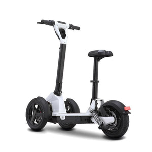 Eveon I Lark Scooter