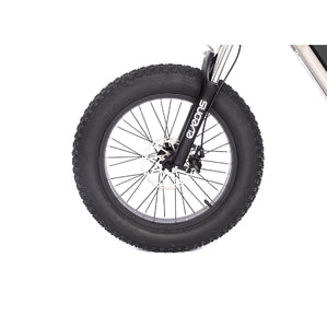 BlueBee II Electric Bike