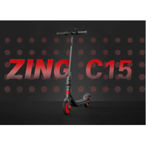 Ninebot Segway ZING C15E KickScooter